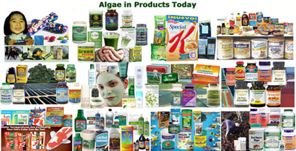 Algae Producrs