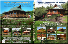 Bamboo DVD